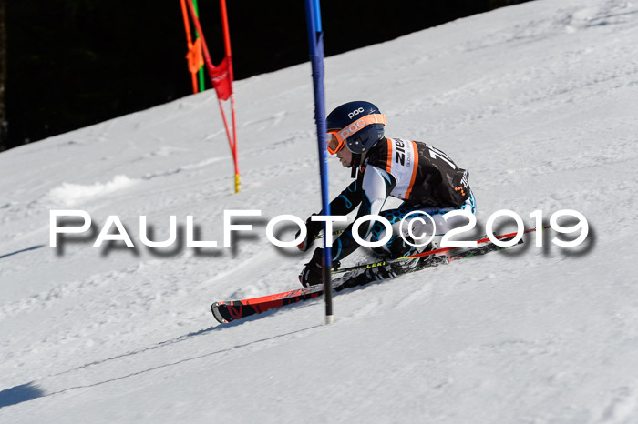 Ziener Cup WF,Finale, Quali + PSL, 30.03.2019