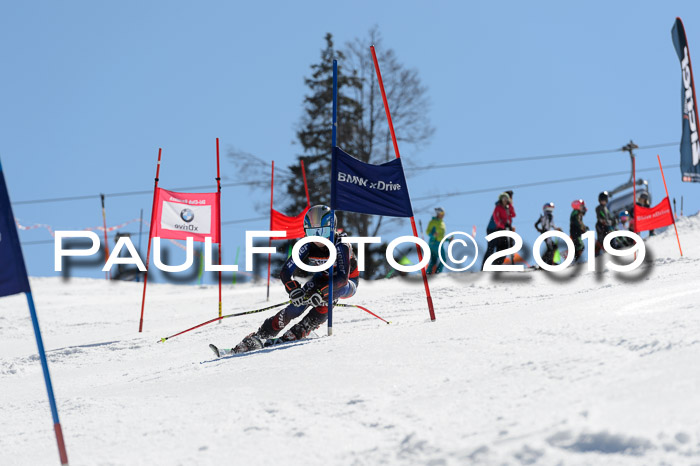 Ziener Cup WF,Finale, Quali + PSL, 30.03.2019