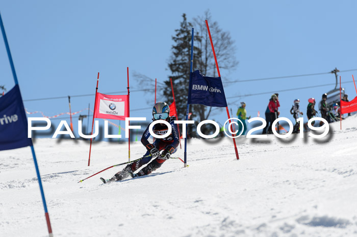 Ziener Cup WF,Finale, Quali + PSL, 30.03.2019