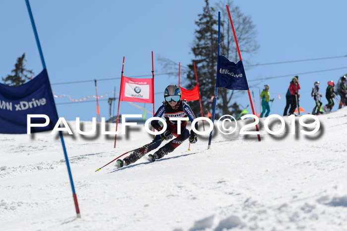 Ziener Cup WF,Finale, Quali + PSL, 30.03.2019