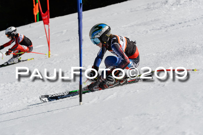 Ziener Cup WF,Finale, Quali + PSL, 30.03.2019