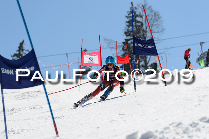 Ziener Cup WF,Finale, Quali + PSL, 30.03.2019