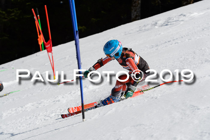 Ziener Cup WF,Finale, Quali + PSL, 30.03.2019