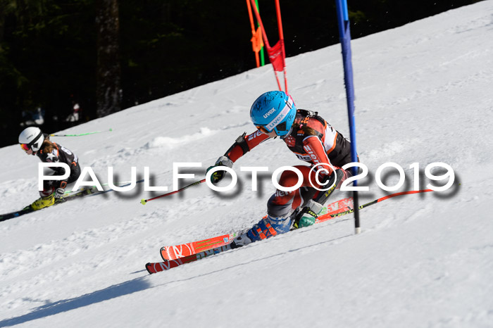 Ziener Cup WF,Finale, Quali + PSL, 30.03.2019