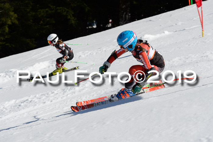 Ziener Cup WF,Finale, Quali + PSL, 30.03.2019