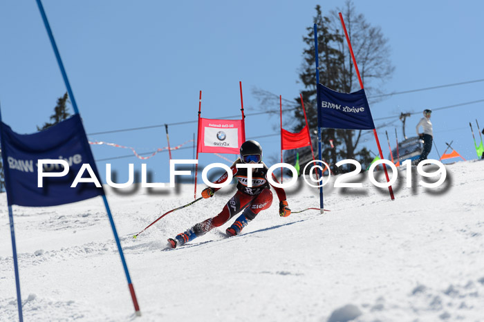 Ziener Cup WF,Finale, Quali + PSL, 30.03.2019