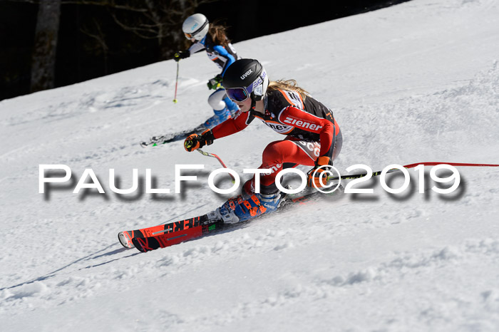 Ziener Cup WF,Finale, Quali + PSL, 30.03.2019