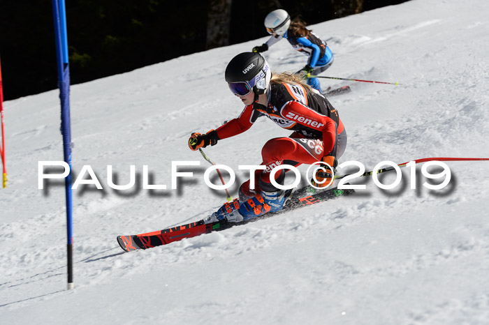 Ziener Cup WF,Finale, Quali + PSL, 30.03.2019