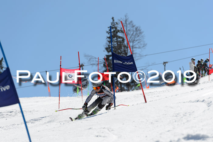 Ziener Cup WF,Finale, Quali + PSL, 30.03.2019