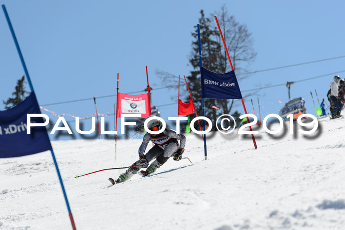 Ziener Cup WF,Finale, Quali + PSL, 30.03.2019