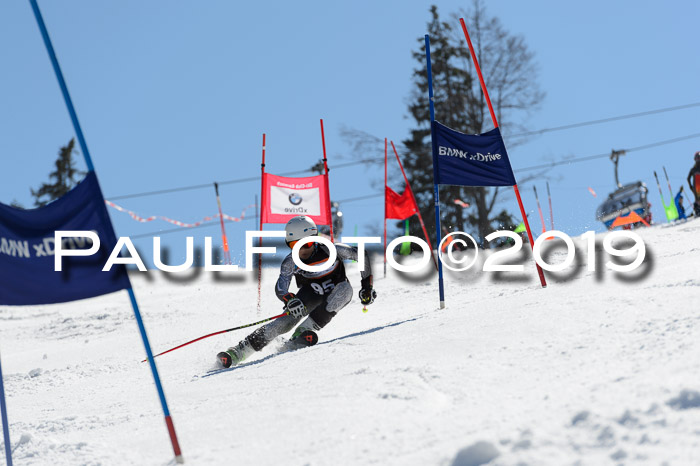 Ziener Cup WF,Finale, Quali + PSL, 30.03.2019