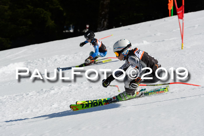 Ziener Cup WF,Finale, Quali + PSL, 30.03.2019