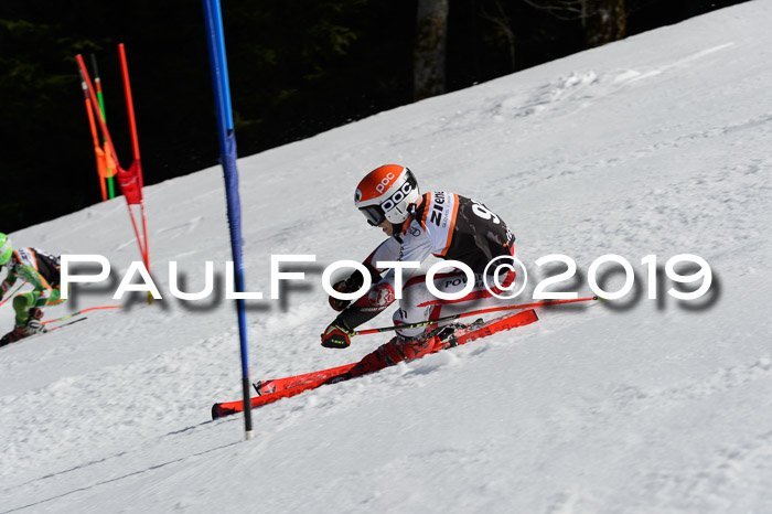 Ziener Cup WF,Finale, Quali + PSL, 30.03.2019