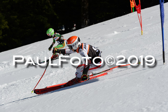 Ziener Cup WF,Finale, Quali + PSL, 30.03.2019