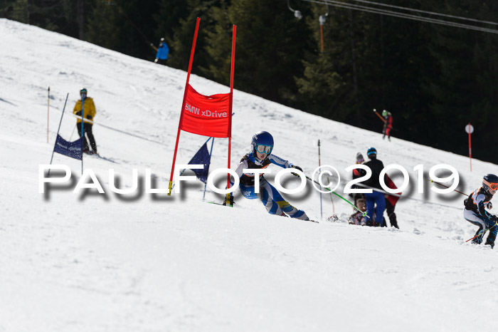Ziener Cup WF,Finale, Quali + PSL, 30.03.2019