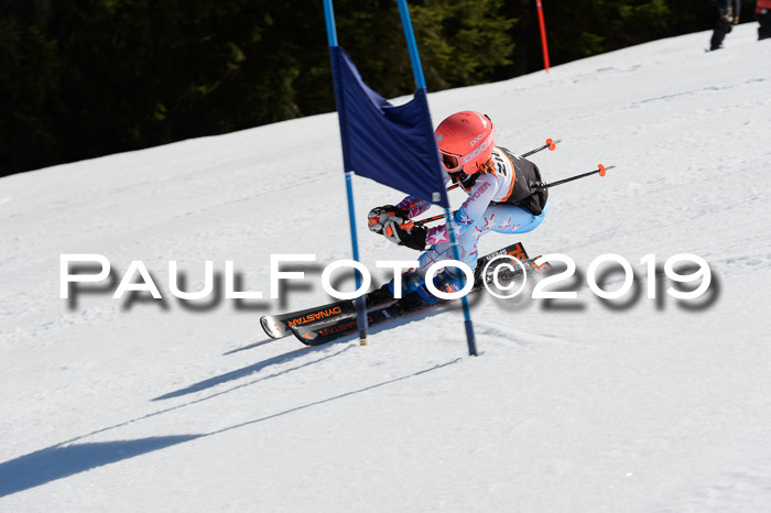 Ziener Cup WF,Finale, Quali + PSL, 30.03.2019