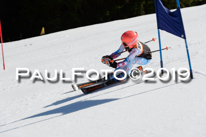 Ziener Cup WF,Finale, Quali + PSL, 30.03.2019