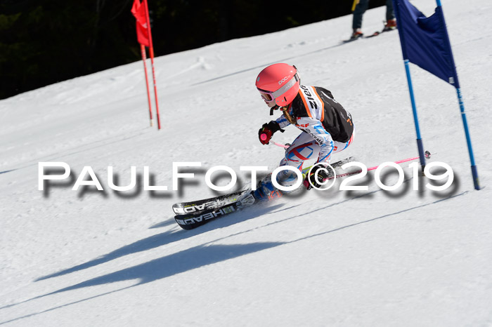 Ziener Cup WF,Finale, Quali + PSL, 30.03.2019