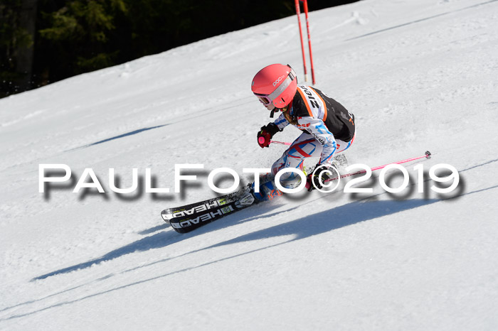 Ziener Cup WF,Finale, Quali + PSL, 30.03.2019