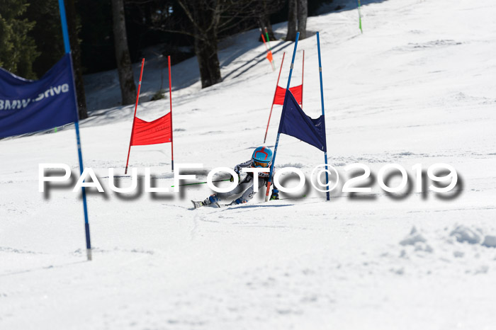 Ziener Cup WF,Finale, Quali + PSL, 30.03.2019