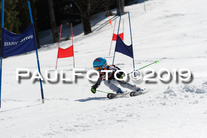 Ziener Cup WF,Finale, Quali + PSL, 30.03.2019