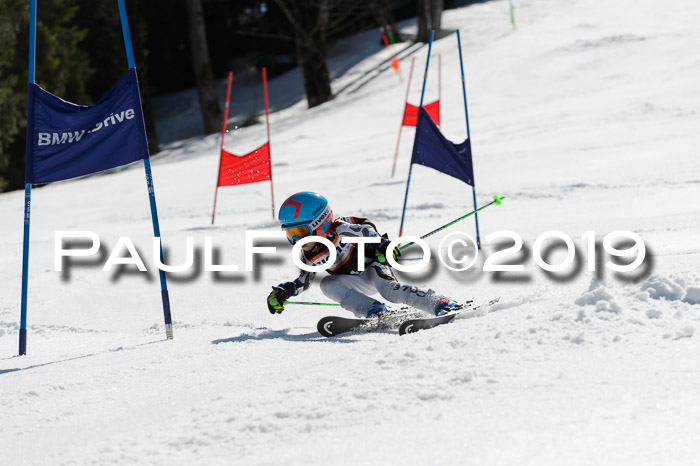 Ziener Cup WF,Finale, Quali + PSL, 30.03.2019