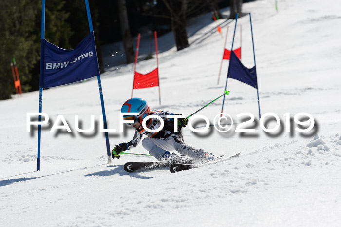 Ziener Cup WF,Finale, Quali + PSL, 30.03.2019