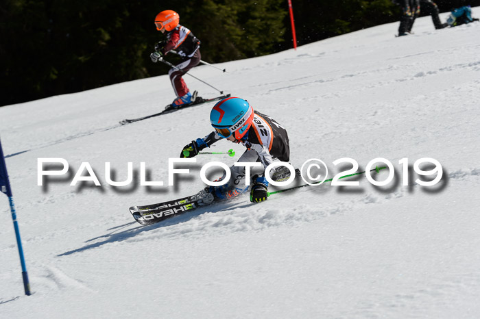 Ziener Cup WF,Finale, Quali + PSL, 30.03.2019