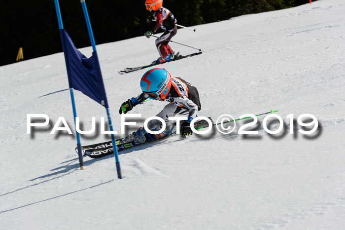 Ziener Cup WF,Finale, Quali + PSL, 30.03.2019
