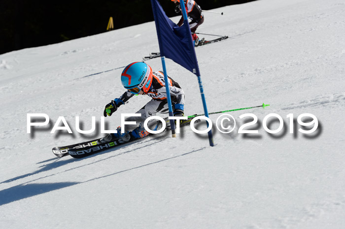 Ziener Cup WF,Finale, Quali + PSL, 30.03.2019