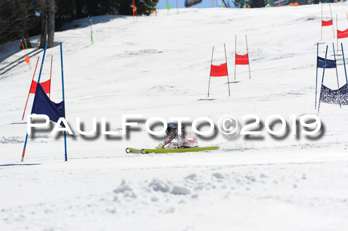 Ziener Cup WF,Finale, Quali + PSL, 30.03.2019
