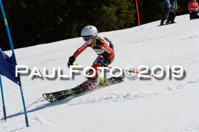 Ziener Cup WF,Finale, Quali + PSL, 30.03.2019