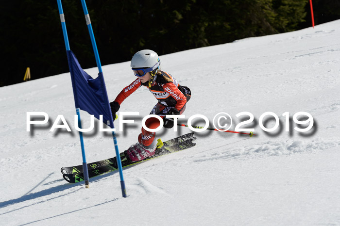 Ziener Cup WF,Finale, Quali + PSL, 30.03.2019