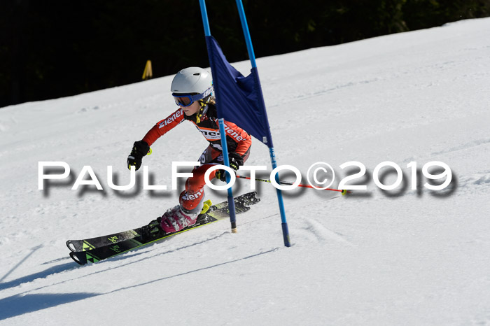 Ziener Cup WF,Finale, Quali + PSL, 30.03.2019
