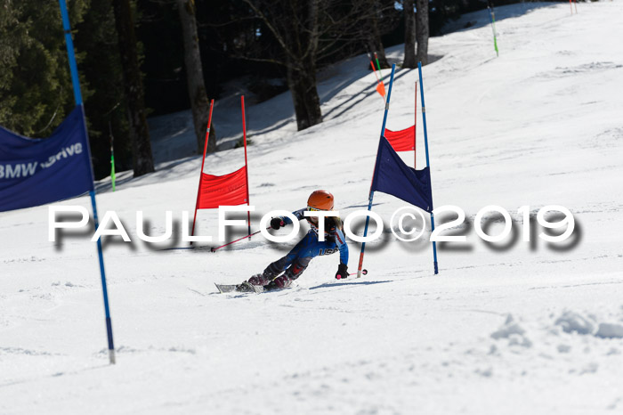 Ziener Cup WF,Finale, Quali + PSL, 30.03.2019