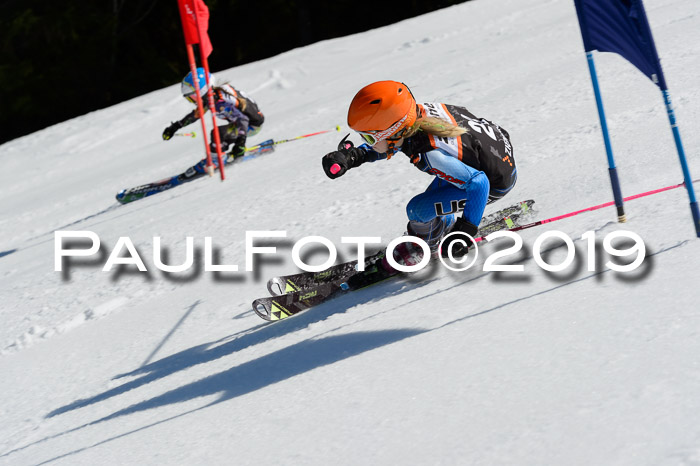 Ziener Cup WF,Finale, Quali + PSL, 30.03.2019