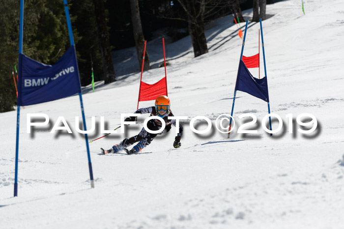 Ziener Cup WF,Finale, Quali + PSL, 30.03.2019