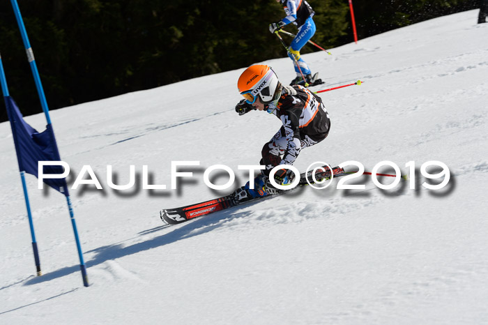 Ziener Cup WF,Finale, Quali + PSL, 30.03.2019