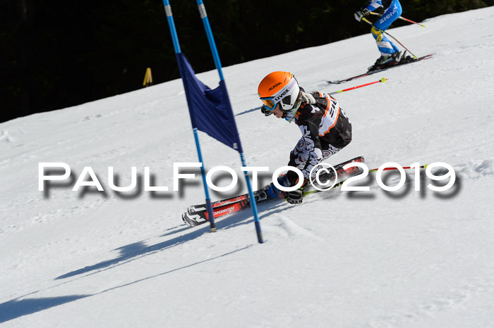 Ziener Cup WF,Finale, Quali + PSL, 30.03.2019