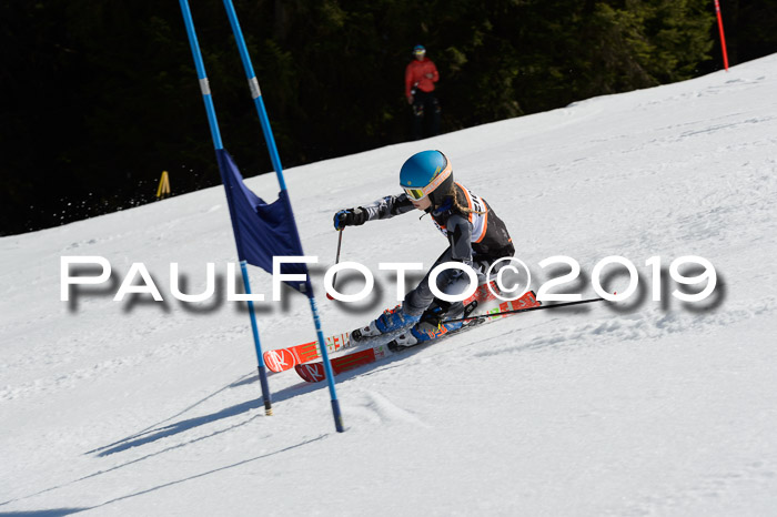 Ziener Cup WF,Finale, Quali + PSL, 30.03.2019