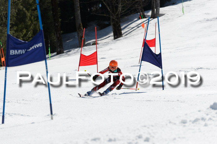 Ziener Cup WF,Finale, Quali + PSL, 30.03.2019