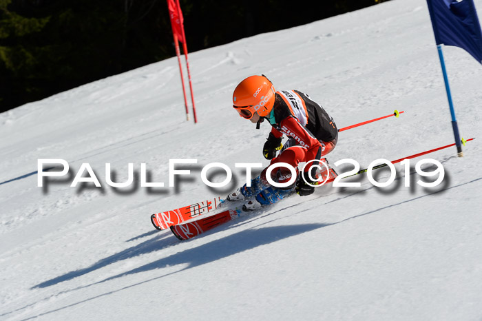 Ziener Cup WF,Finale, Quali + PSL, 30.03.2019