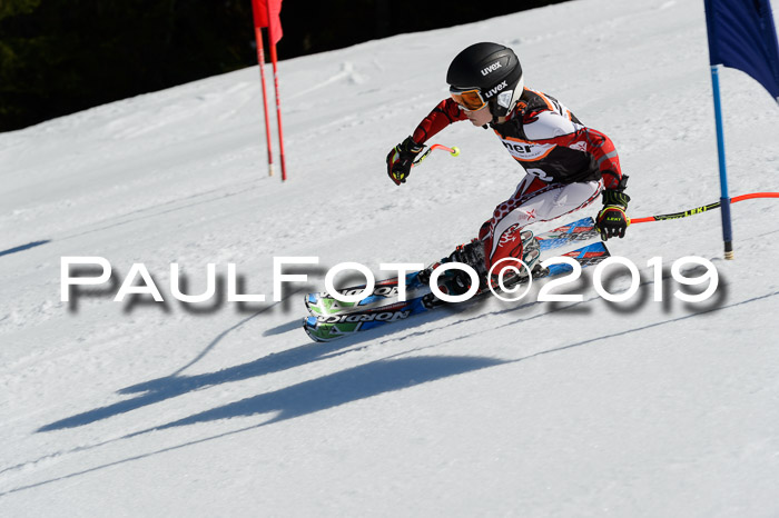 Ziener Cup WF,Finale, Quali + PSL, 30.03.2019