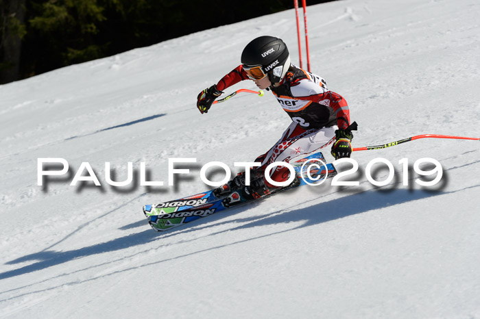 Ziener Cup WF,Finale, Quali + PSL, 30.03.2019
