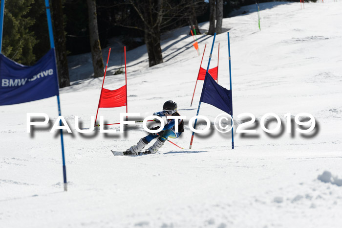 Ziener Cup WF,Finale, Quali + PSL, 30.03.2019
