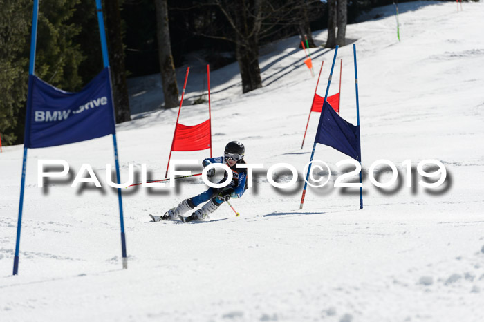 Ziener Cup WF,Finale, Quali + PSL, 30.03.2019