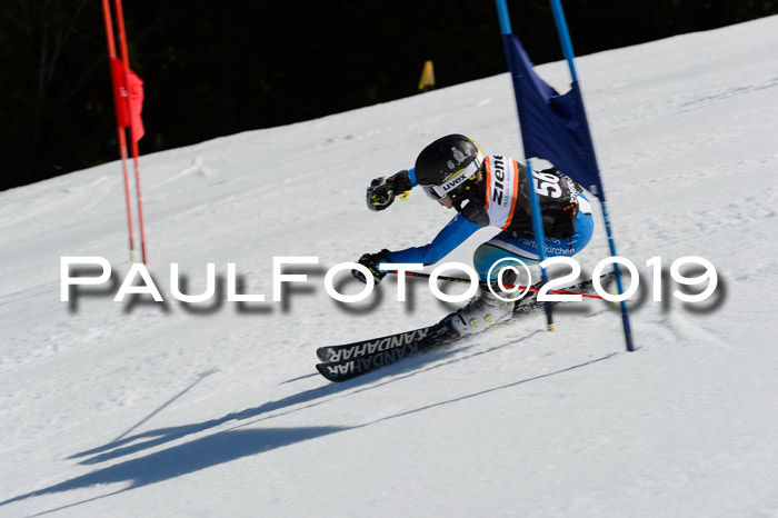 Ziener Cup WF,Finale, Quali + PSL, 30.03.2019