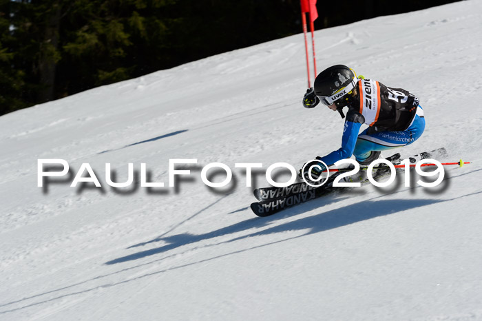 Ziener Cup WF,Finale, Quali + PSL, 30.03.2019