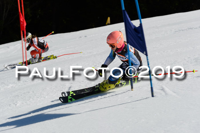 Ziener Cup WF,Finale, Quali + PSL, 30.03.2019