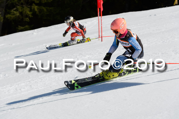 Ziener Cup WF,Finale, Quali + PSL, 30.03.2019